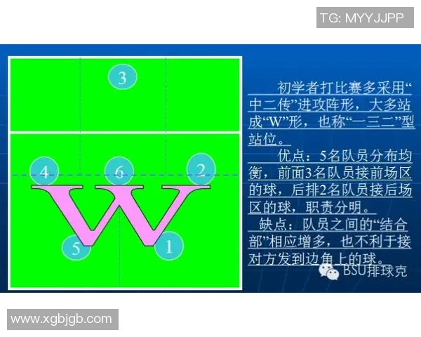 广州排球队配合策略分析与战术提升探讨 广州排球队配合策略分析与战术提升探讨