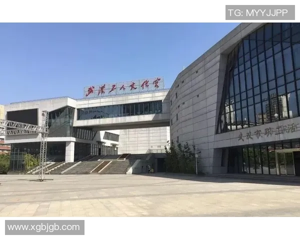 武汉篮球队区域防守革新之路探索与实践分析