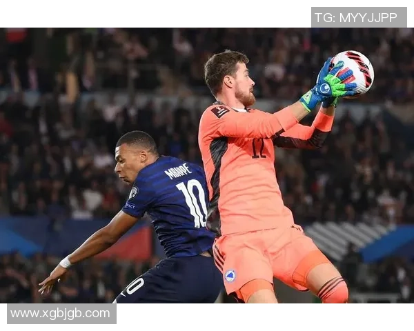 法国足球明星现状揭秘：他们在赛场外的生活与成就