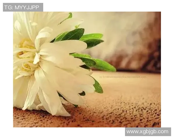 足球明星心声：热爱与激情交织的经典语录短句分享