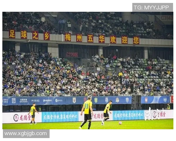 被解约的足球明星背后故事揭示了职业生涯的无常与挑战