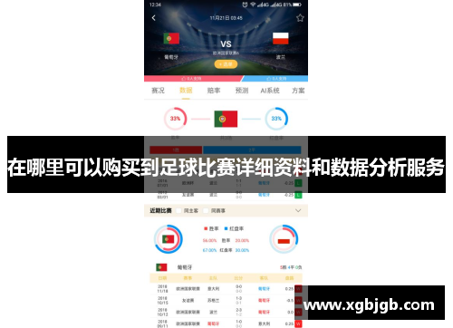 在哪里可以购买到足球比赛详细资料和数据分析服务