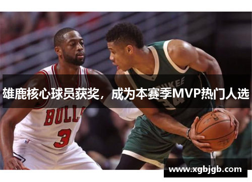 雄鹿核心球员获奖，成为本赛季MVP热门人选